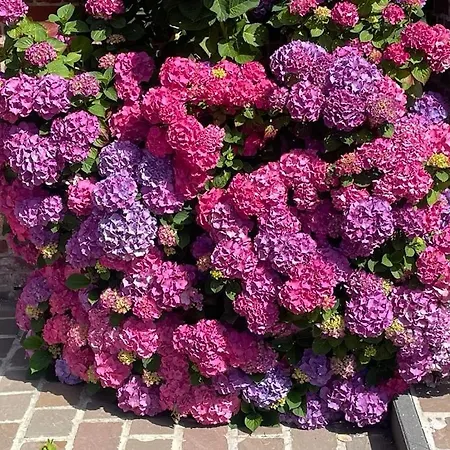 à La Ferme L'écrin De Campagne