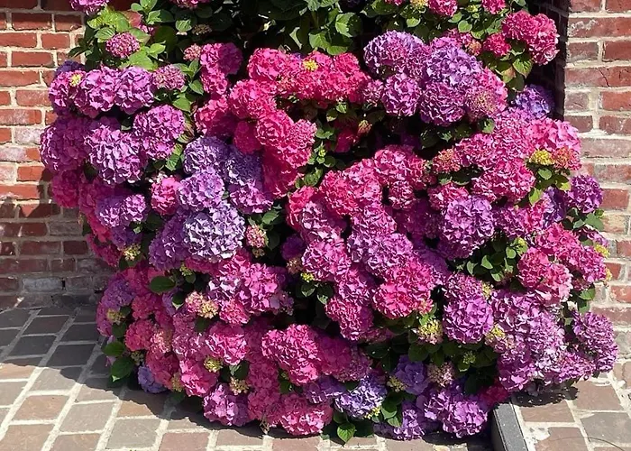 A La Ferme L'ecrin De Campagne